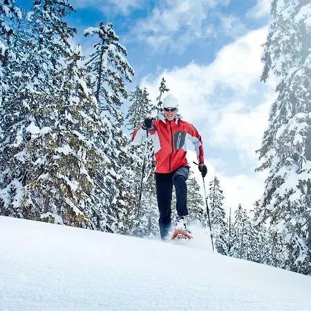 Bramberg Typ 2a * Bramberg am Wildkogel
